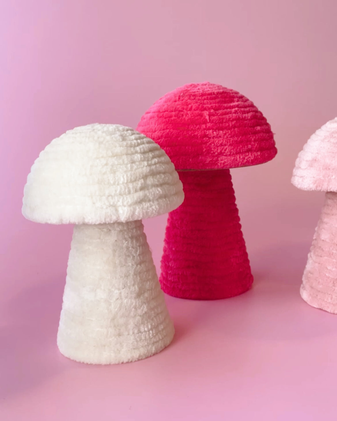 Sleepy Shroom Jewelry Display